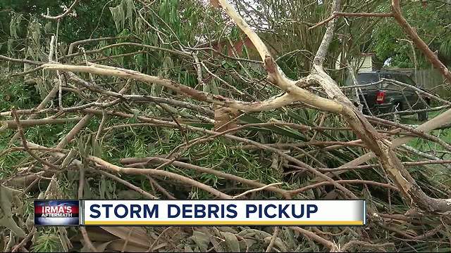 Hurricane Irma debris: How to make sure your county picks up your stuff