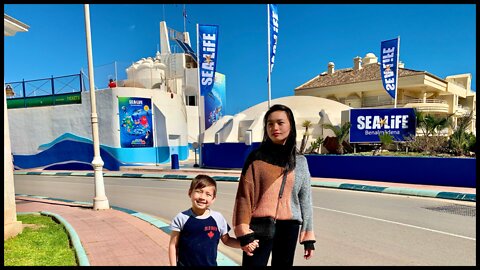 Sea Life Benalmadena Spain 2022