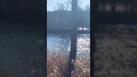 beautiful fox river