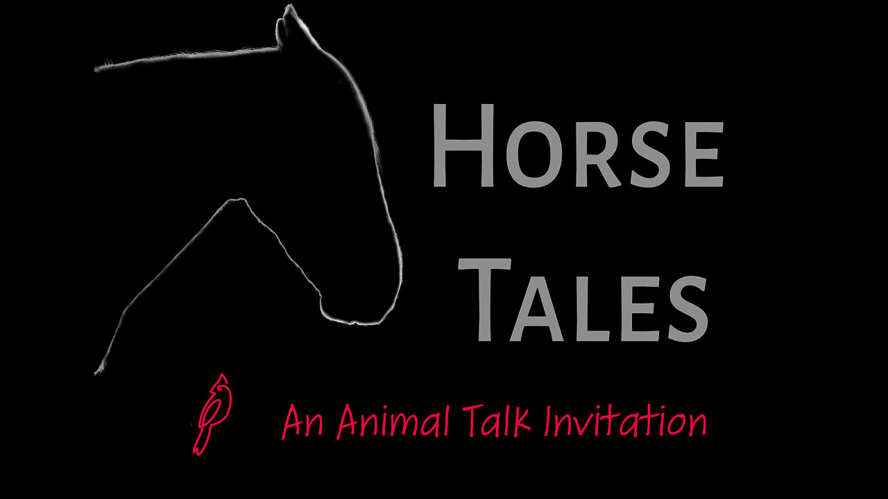 Horse Tales, An Animal Talk Invitation