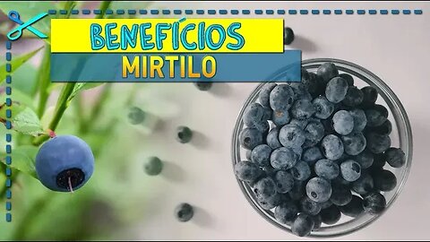 💰 Benefícios do Mirtilo | Origem, Vitaminas e Receitas