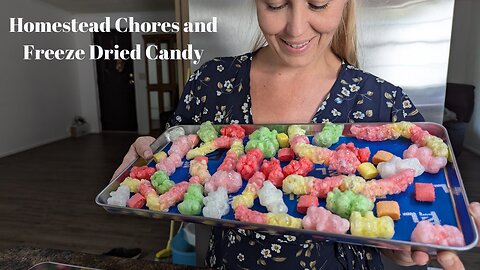 Homestead Chores and Freeze Dried Candy