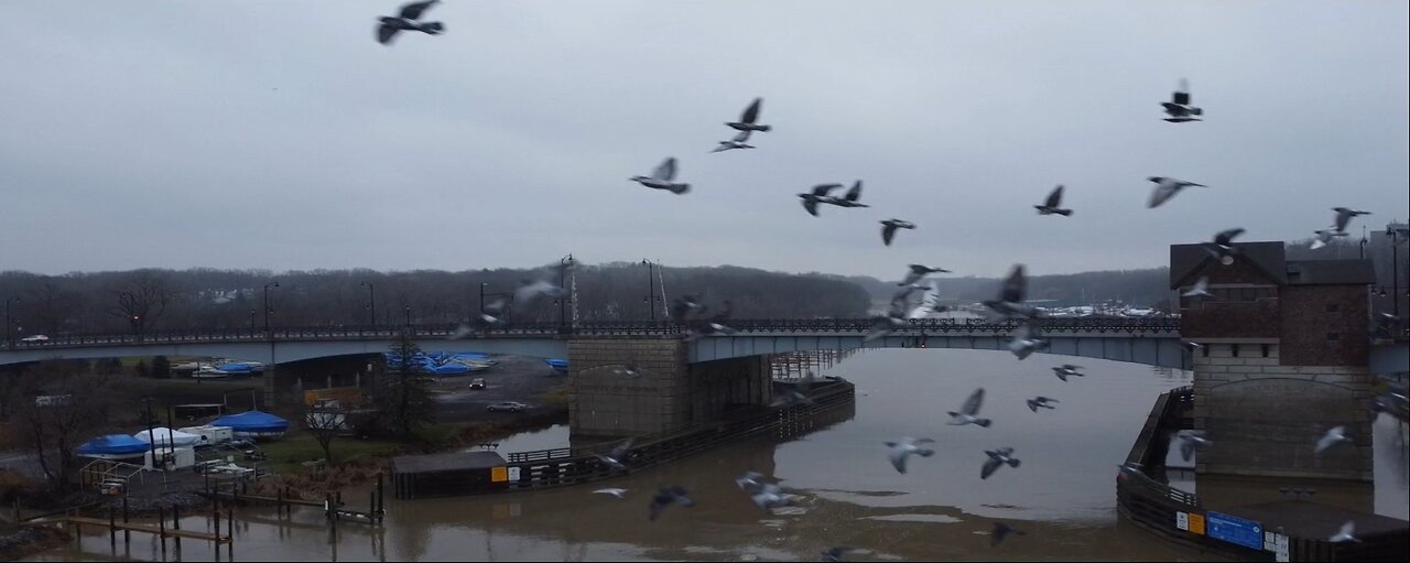 5 Mile Flight Over The Genessee River