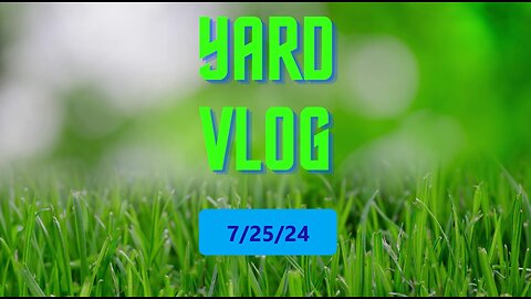 Yard Vlog 7/25/24