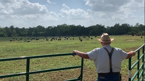 In The Jeep: Will Harris