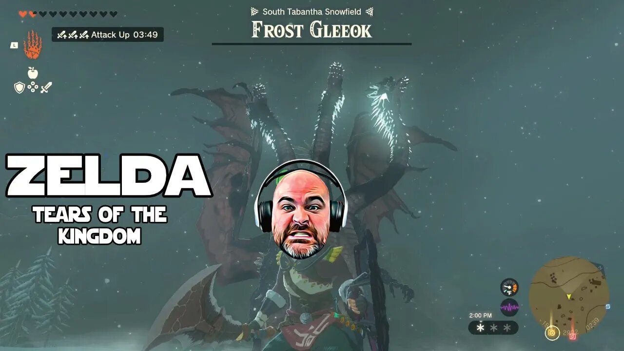 First Frost Gleeok - Zelda Tears of the Kingdom