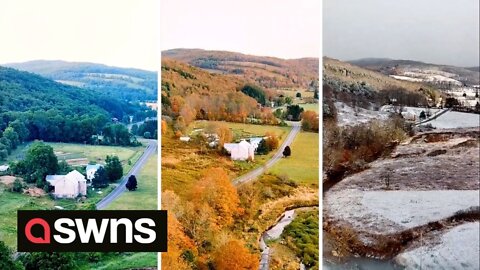 Stunning drone footage shows forest changing colours as seasons pass