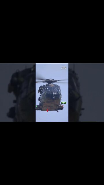 True or False? Myth of Giant Anacondas in World War II