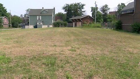 Lots of Clover: initiative to reshape Buffalo's empty lots