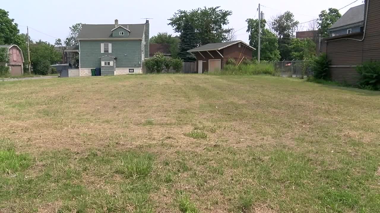 Lots of Clover: initiative to reshape Buffalo's empty lots