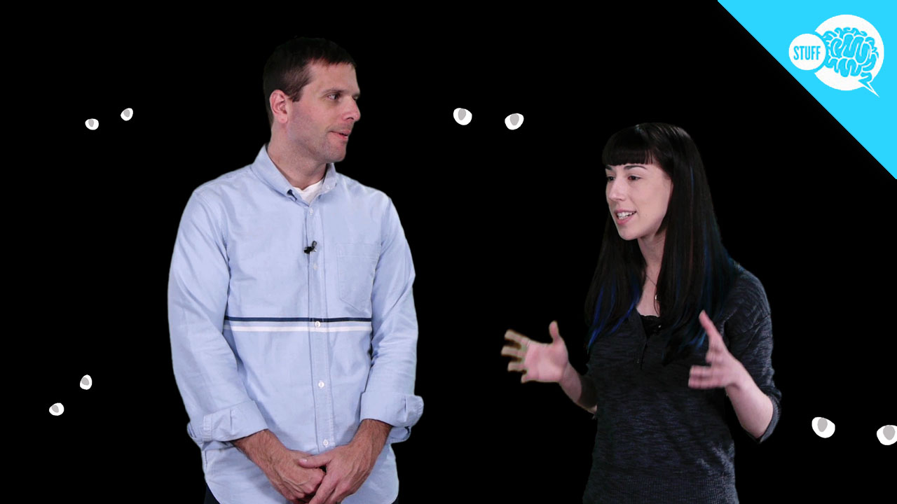 BrainStuff: Why Do Some Animals' Eyes Shine In The Dark?