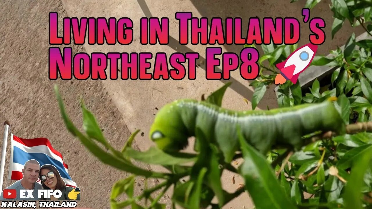 Living in Thailand's Northeast ep8