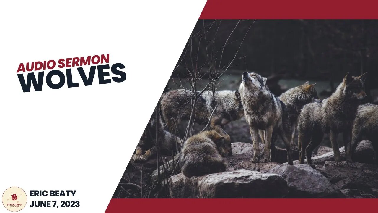 Wolves - Eric Beaty Audio Sermon - 6-7-23