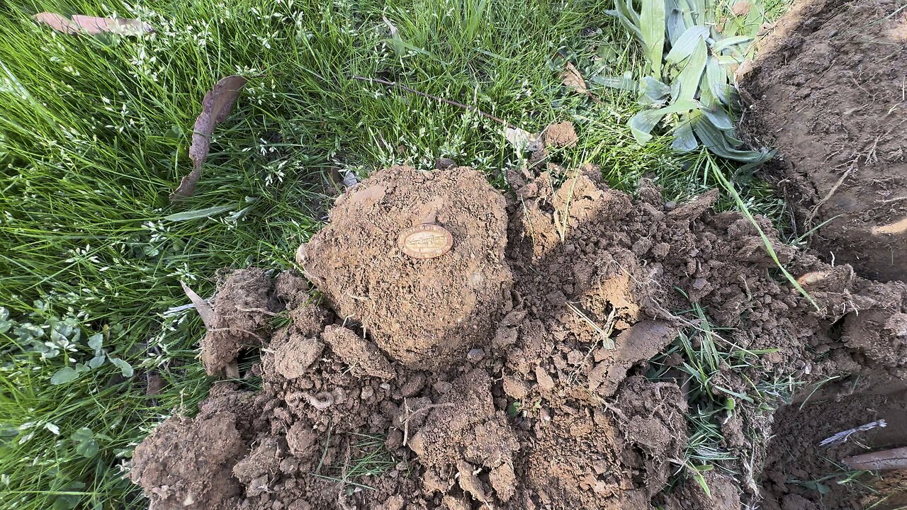 Gold Pendant Metal Detecting