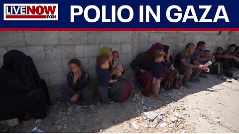 REPORT: Polio outbreak among Palestinian children in Gaza