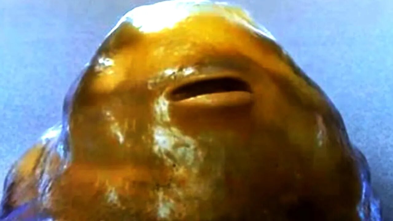 Conspiracy Of Salivate Metals!