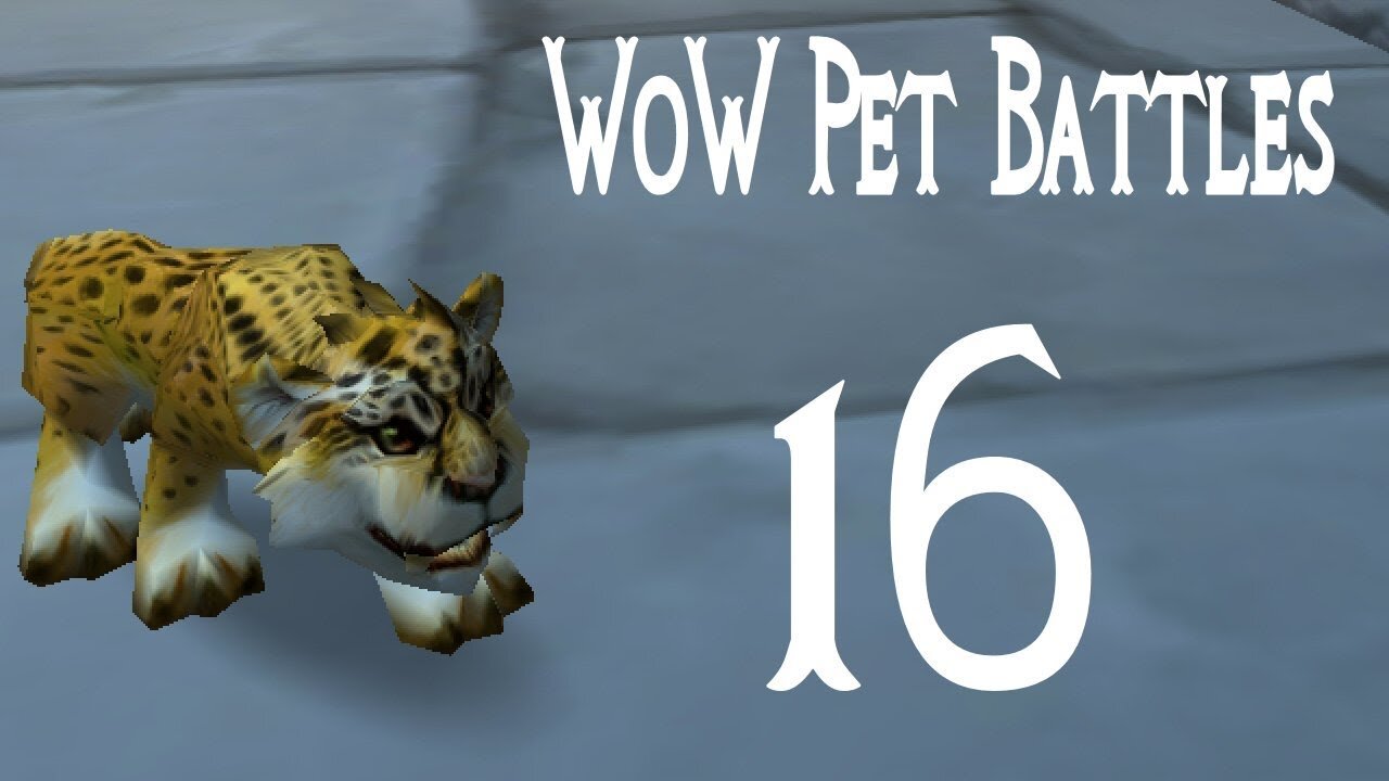 Mists of Pandaria Pet Battles 16 Finale