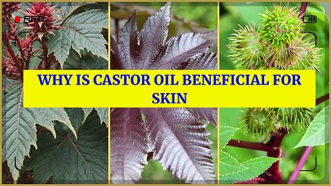 The Magic of Castor Oil for Healthy Skin