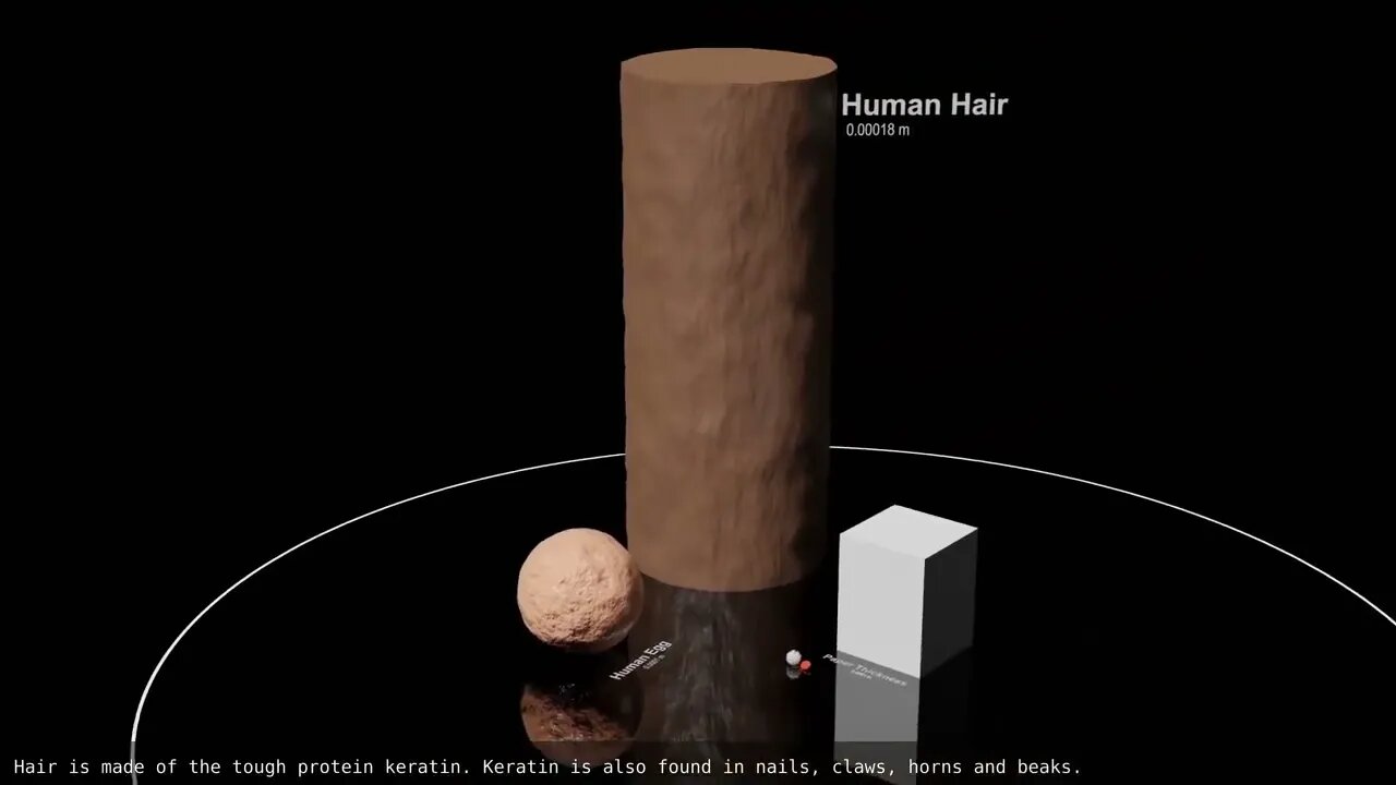 Universe Size Comparison 2020