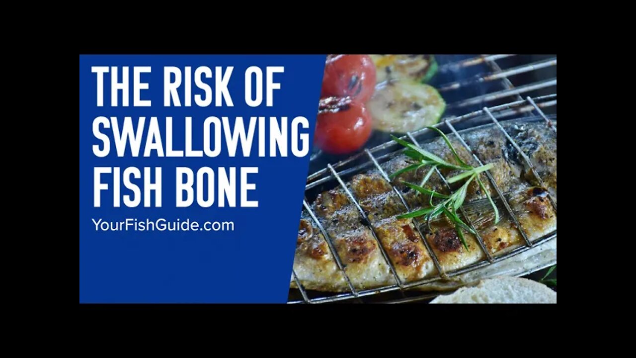 Getting A Fishbone Stuck In Your Intestines Is Possible Here Is Why