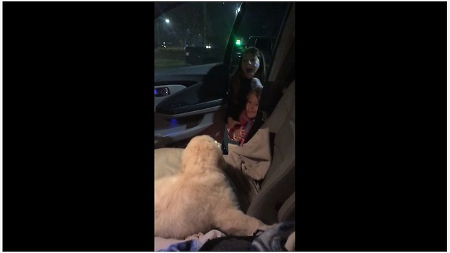 Dad surprises daughters with Christmas puppy