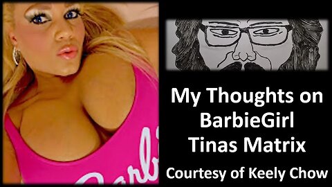 My Thoughts on Barbie Girl Tinas Matrix (Courtesy of Keely Chow)