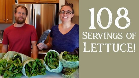 How to Prep for 108 Salads ONCE a Week!