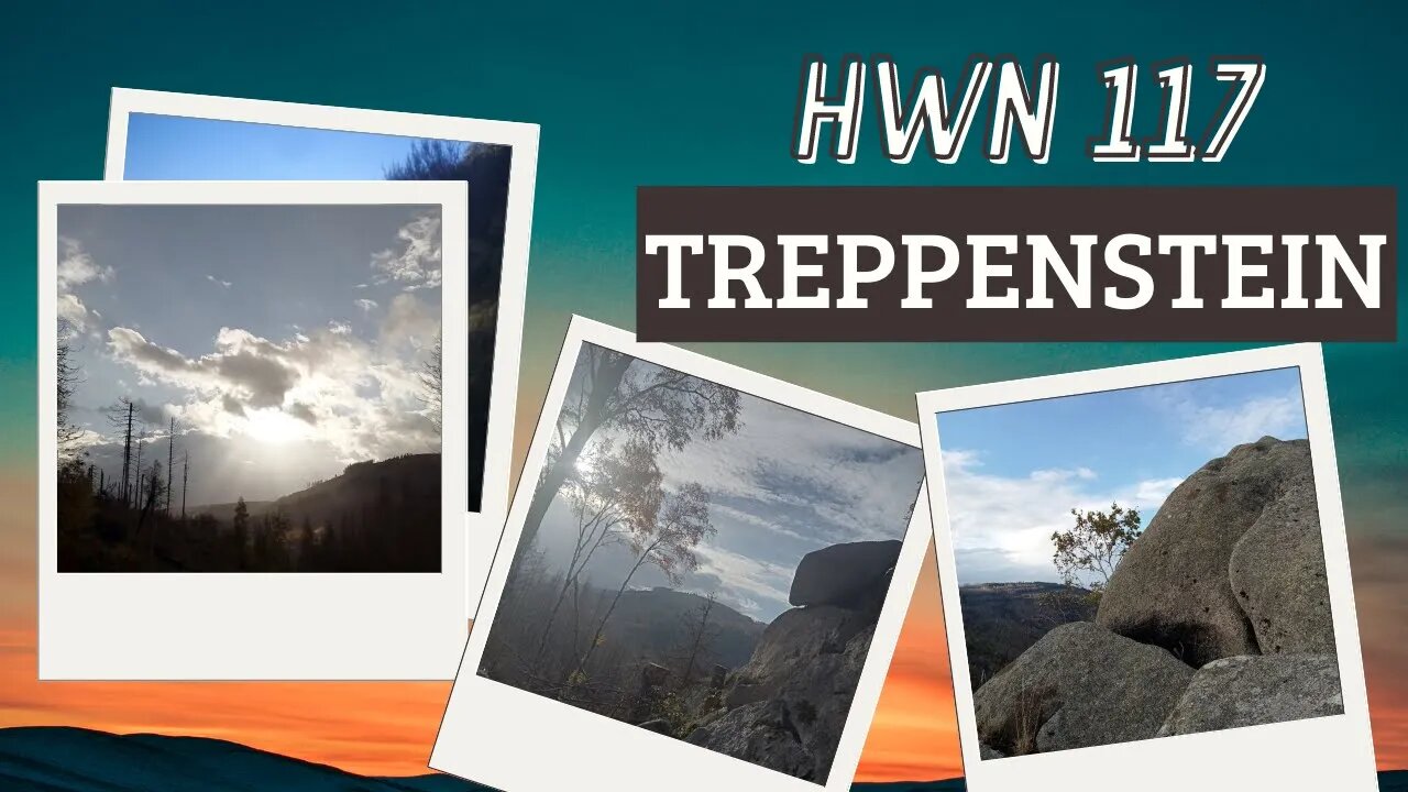 Treppenstein HWN 117