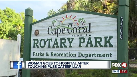 Cape Coral woman gets bit by a puss caterpillar at local dog park.