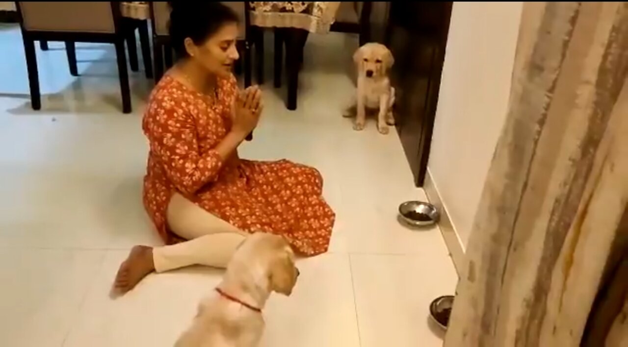 Heartening clip of Woman Teaching "Puppies to Pray" before a Meal