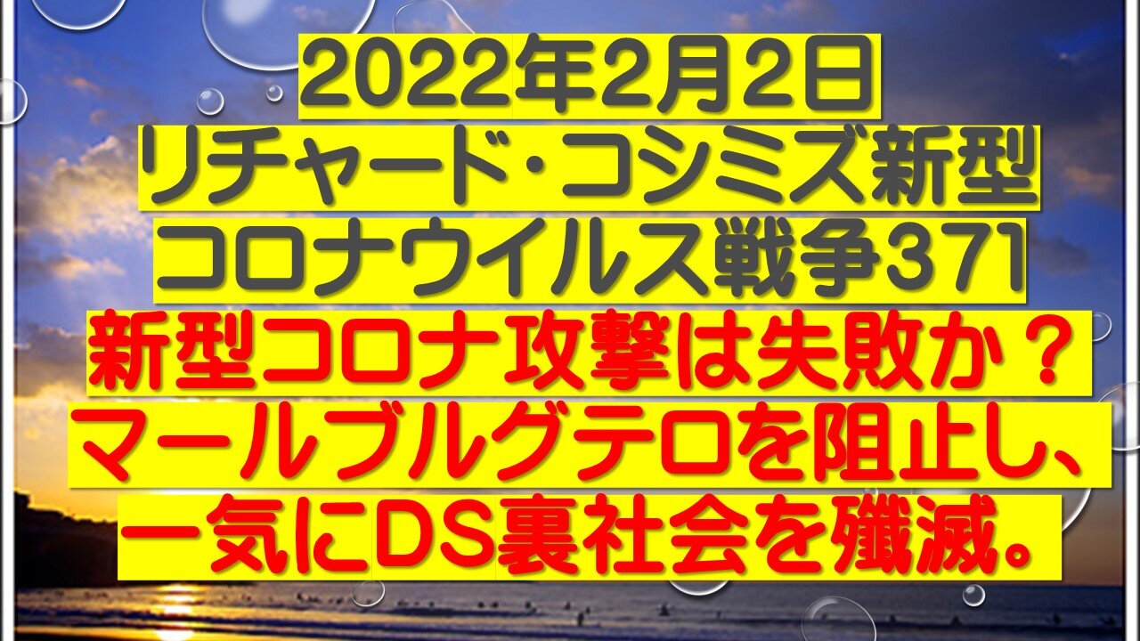 2022年２月２日 リチャード・コシミズ新型 コロナウイルス戦争３７１