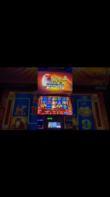 Winner on Multi Win 7! #shorts #shortsvideo #slotmachines #jackpots #handpay #handpayjackpot