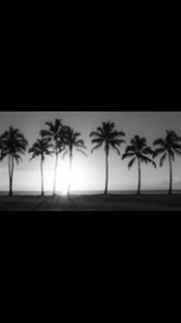 HOLD THAT L 🤣🤣🤣