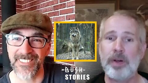 Confronting Wolves While Bow Hunting Moose | My Self Reliance (Shawn James) | Bush Stories