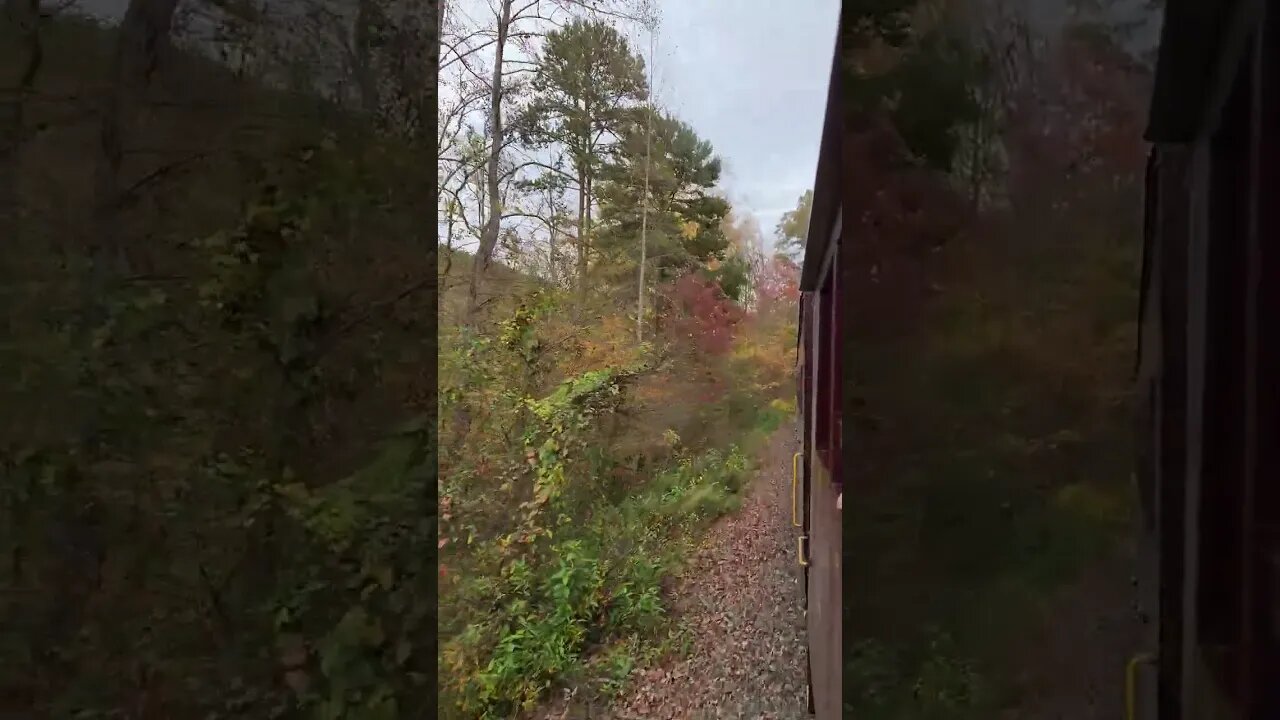 Fall Colors From The Great Smoky Mountains Railroad! - Part 13