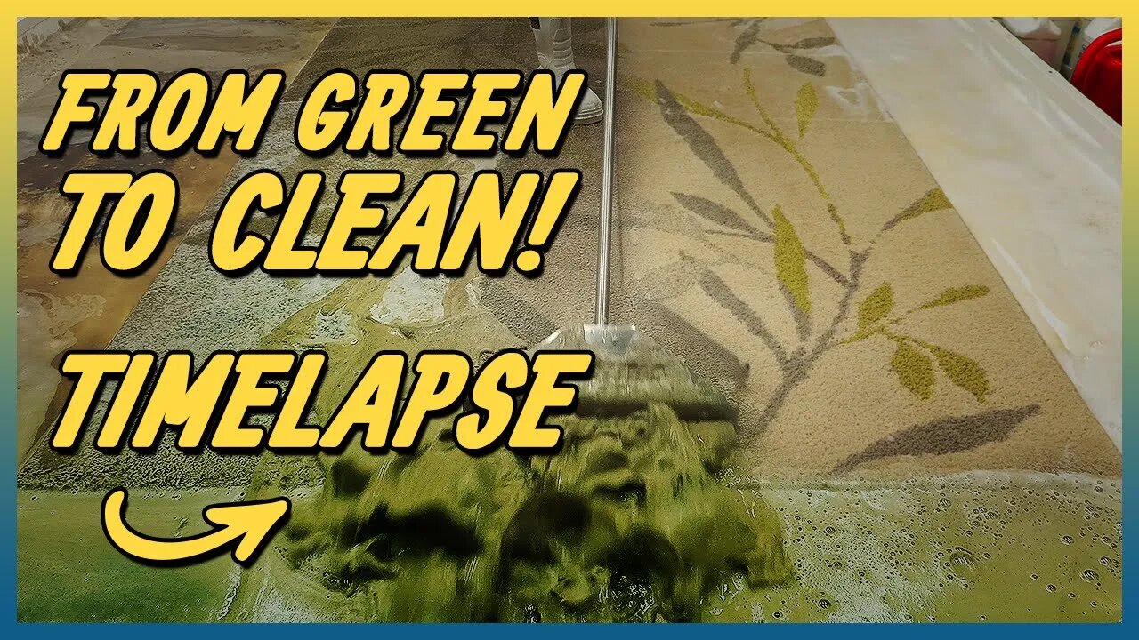 Washing Shrek's Rug | 5 Minute Time lapse | Satisfying Video