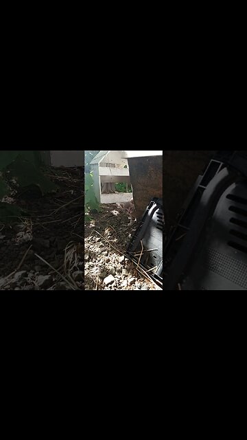 The Dangerous Corner