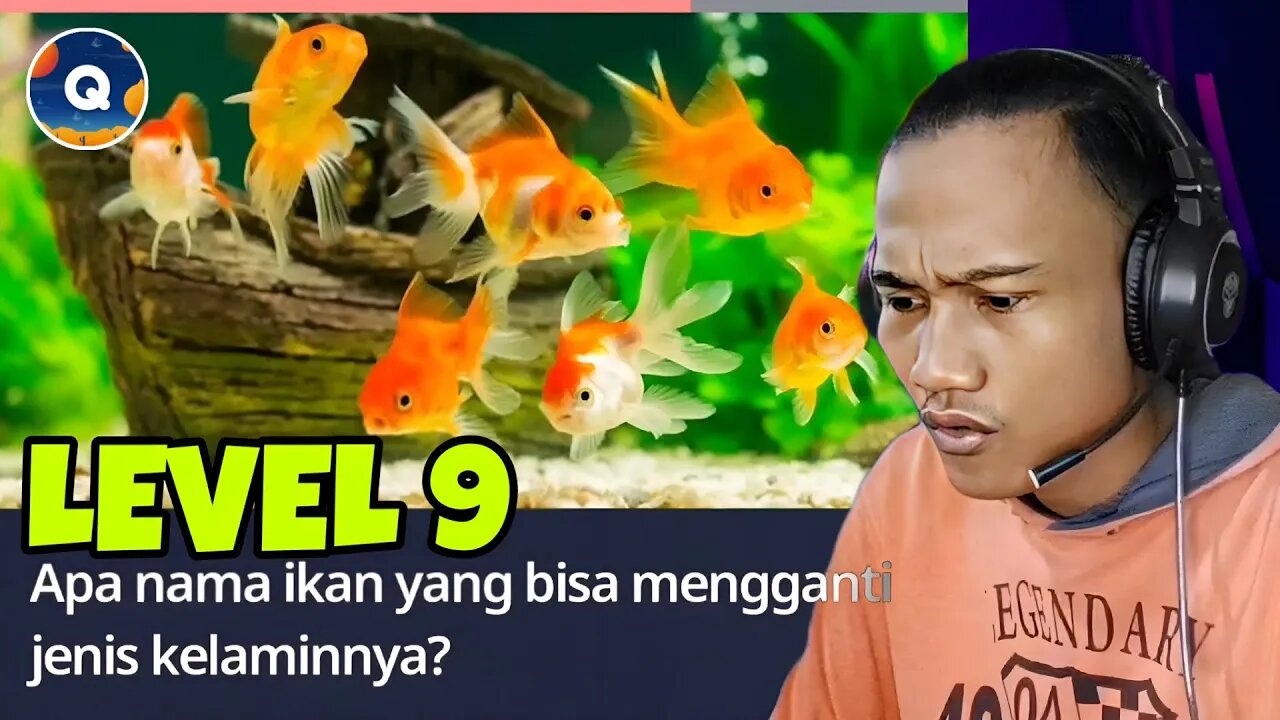 Ikan ini transgender ? | Quizzland level 9