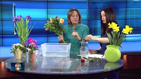 Gardening Expert Melinda Meyers shares how to bring rose back to life