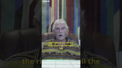 ELIMINATION 102 [Dr Morse] #Short
