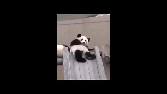 Funny animals 😋😍funny moments 🙂😋