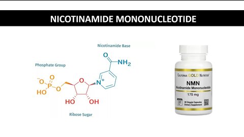 Nicotinamide mononucleotide - NMN Supplementation - Health, Energy, Mood, Sleep, Focus & Anti aging