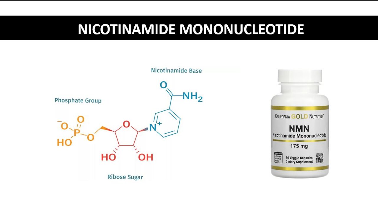 Nicotinamide mononucleotide - NMN Supplementation - Health, Energy, Mood, Sleep, Focus & Anti aging