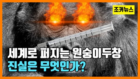 전 세계로 퍼지는 원숭이두창 진실은 무엇인가?