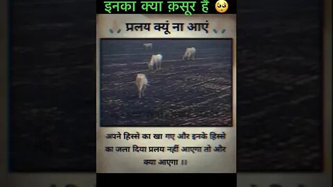 आख़िर क़सूर क्या है जीवों का 🥺🥺🥺 ||| #sad #day #shortvideo #shorts @Sagarsaini241