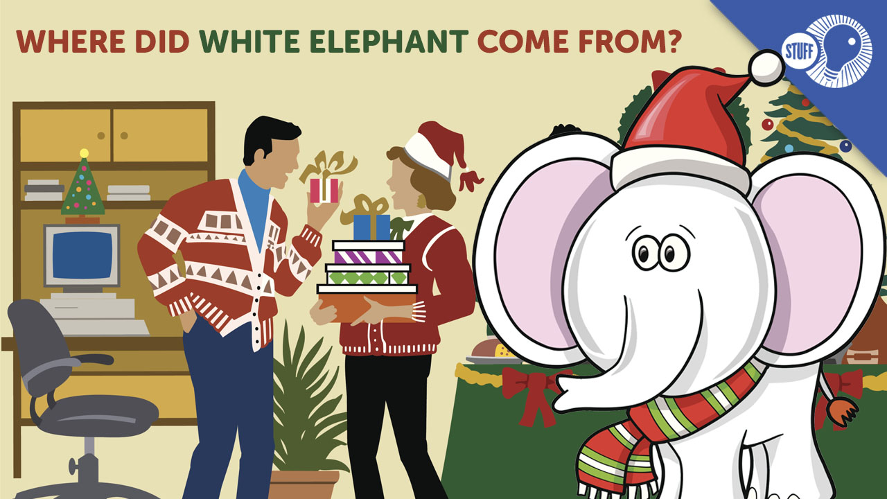 Stuff of Genius: The White Elephant In The Room