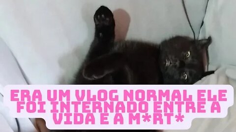 Vlog de Rotina- Ele foi internado muito mal- Estou com medo de perde-lo.