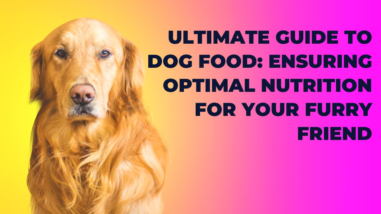 Understanding Canine Nutrition: What Your Dog Needs for a Balanced Diet