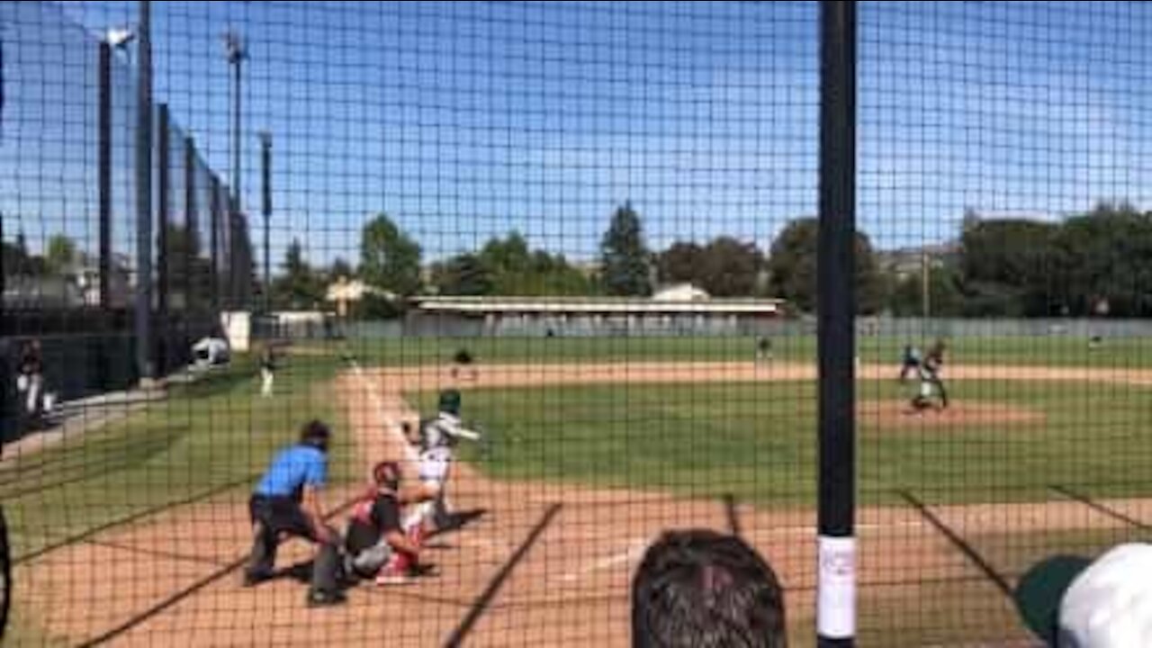 Un pigeon fait les frais d'un match de baseball