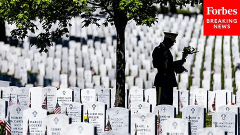 Here’s Why Section 60 Is The ‘Saddest Acre In America’: Gold Star Mother Explains Its Importance